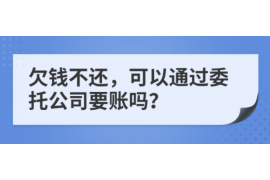 东平东平的要账公司在催收过程中的策略和技巧有哪些？